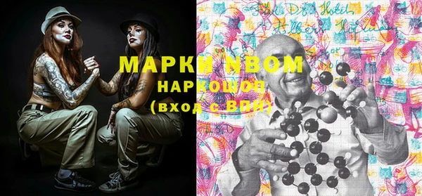 PSILOCYBIN Майский
