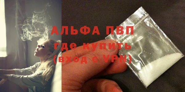 PSILOCYBIN Майский