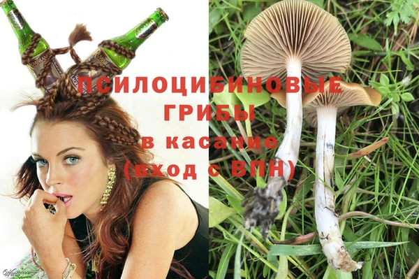 соль ск Магас