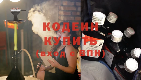 PSILOCYBIN Майский