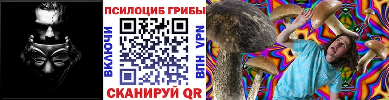 Псилоцибиновые грибы Cubensis  Чайковский 