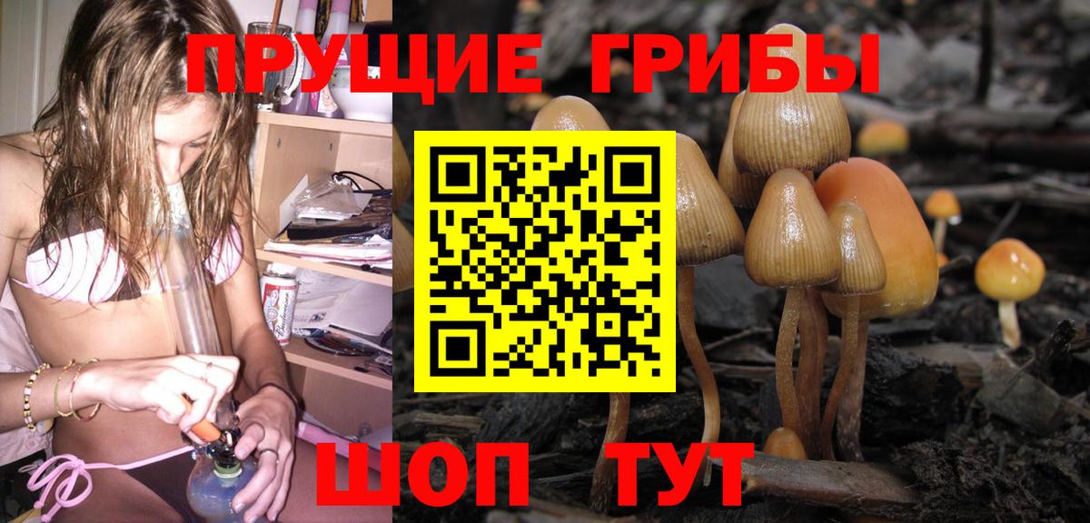 Псилоцибиновые грибы прущие грибы Чайковский