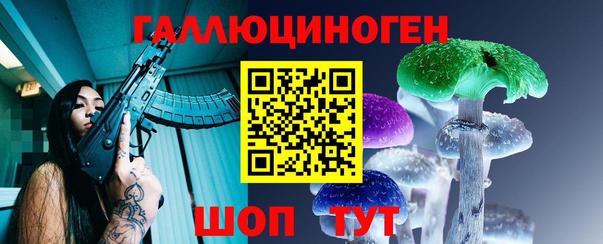 Чайковский  Галлюциногенные грибы прущие грибы  Вход с VPN 
