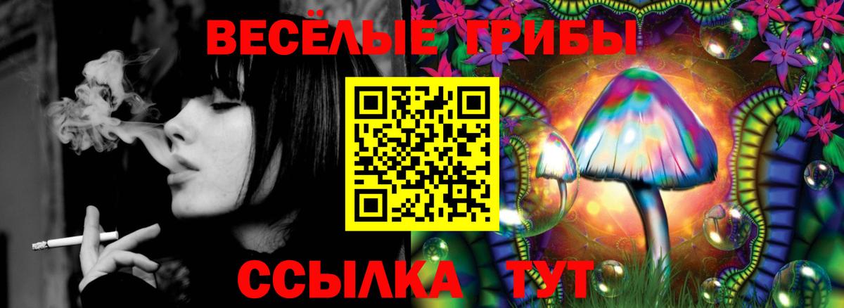 Псилоцибиновые грибы Psilocybe  Чайковский 